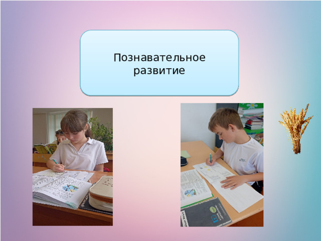 Познавательное развитие 