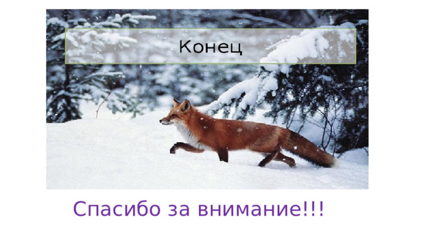 Спасибо за внимание!!! 