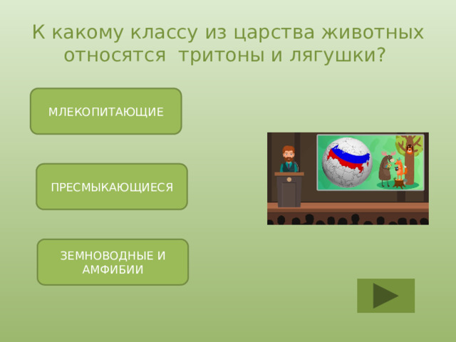 К какому классу из царства животных относятся тритоны и лягушки? МЛЕКОПИТАЮЩИЕ ПРЕСМЫКАЮЩИЕСЯ ЗЕМНОВОДНЫЕ И АМФИБИИ 