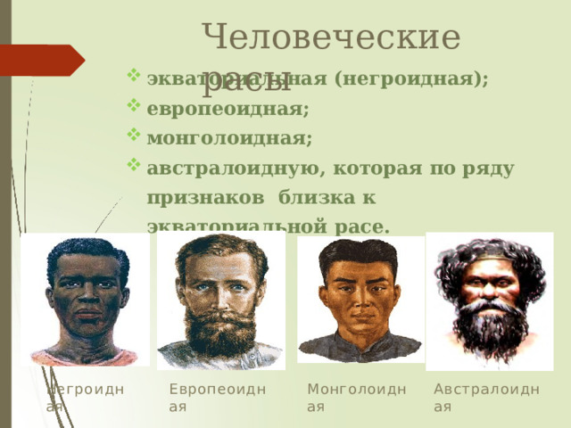 Человеческие  расы экваториальная  (негроидная); европеоидная; монголоидная; австралоидную,  которая  по ряду признаков  близка  к экваториальной  расе. Н е г р о и дная Европеоидная Монголоидная Австралоидная 
