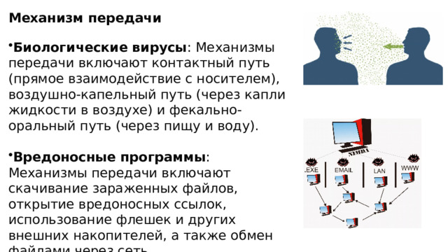 Механизм передачи   Биологические вирусы : Механизмы передачи включают контактный путь (прямое взаимодействие с носителем), воздушно-капельный путь (через капли жидкости в воздухе) и фекально-оральный путь (через пищу и воду).   Вредоносные программы : Механизмы передачи включают скачивание зараженных файлов, открытие вредоносных ссылок, использование флешек и других внешних накопителей, а также обмен файлами через сеть. 
