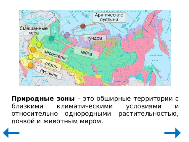 Природные зоны – это обширные территории с близкими климатическими условиями и относительно однородными растительностью, почвой и животным миром. 