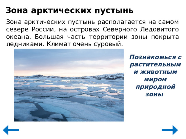 Зона арктических пустынь Зона арктических пустынь располагается на самом севере России, на островах Северного Ледовитого океана. Большая часть территории зоны покрыта ледниками. Климат очень суровый. Познакомься с растительным и животным миром природной зоны 
