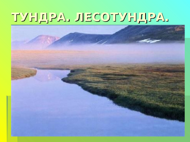 ТУНДРА. ЛЕСОТУНДРА. 