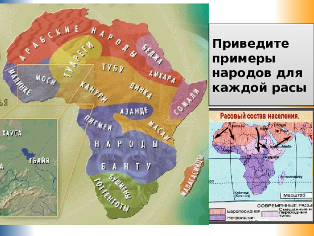 Приведите примеры народов для каждой расы 