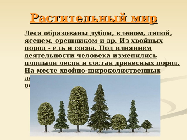 Растительный мир  Леса образованы дубом, кленом, липой, ясенем, орешником и др. Из хвойных пород - ель и сосна. Под влиянием деятельности человека изменились площади лесов и состав древесных пород. На месте хвойно-широколиственных лесов распространены березняки, осинники и кустарники .  