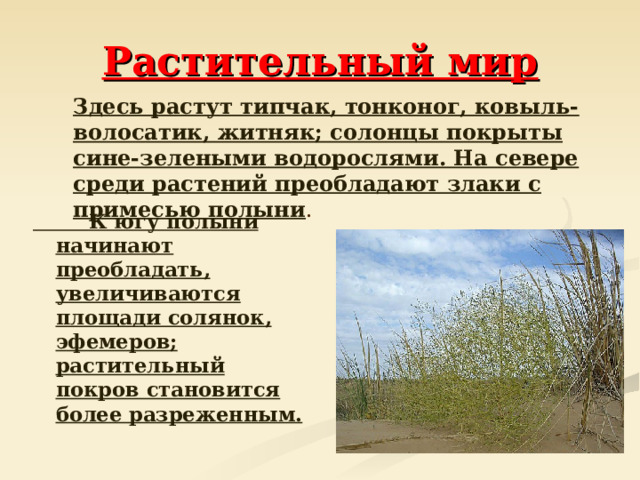 Растительный мир  Здесь растут типчак, тонконог, ковыль-волосатик, житняк; солонцы покрыты сине-зелеными водорослями. На севере среди растений преобладают злаки с примесью полыни .  К югу полыни начинают преобладать, увеличиваются площади солянок, эфемеров; растительный покров становится более разреженным. 