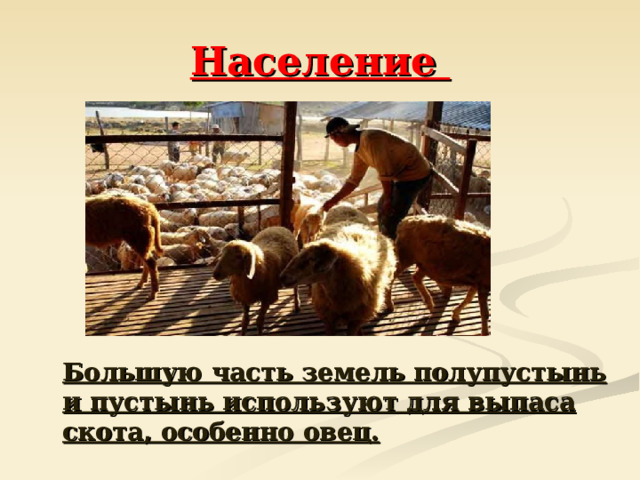 Население  Большую часть земель полупустынь и пустынь используют для выпаса скота, особенно овец. 