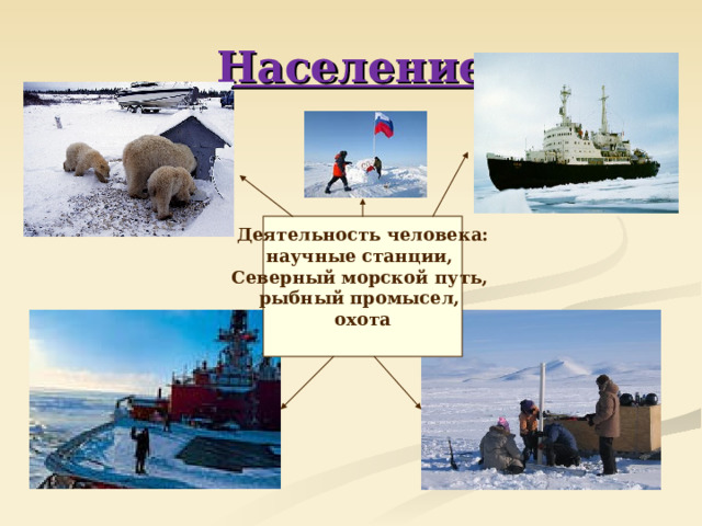 Население  Деятельность человека: научные станции, Северный морской путь, рыбный промысел, охота  