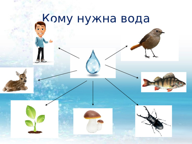 Кому нужна вода 