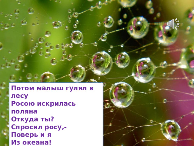 Потом малыш гулял в лесу Росою искрилась поляна Откуда ты? Спросил росу,- Поверь и я Из океана! 