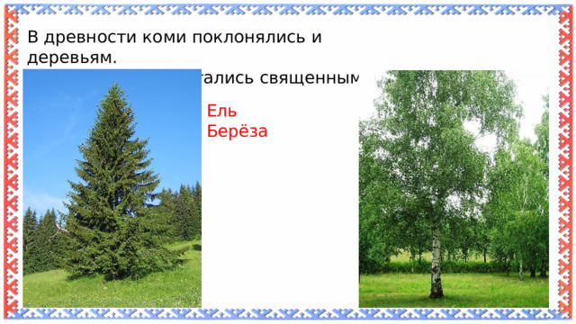 В древности коми поклонялись и деревьям. Какие деревья считались священными? Ель Берёза 