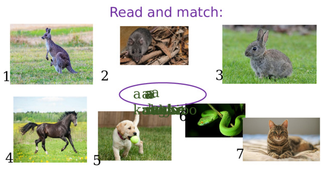 Read and match: 3 2 1 a cat a horse a snake a dog a kangaroo a mouse a rabbit 6 7 4 5 