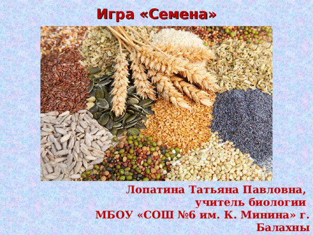 Игра «Семена» Лопатина Татьяна Павловна, учитель биологии МБОУ «СОШ №6 им. К. Минина» г. Балахны 