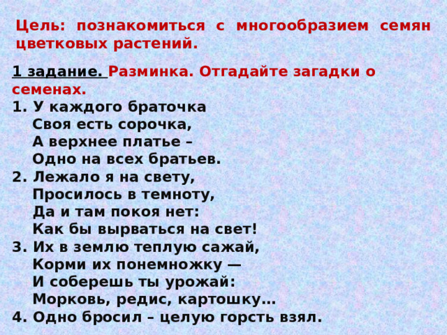 Цель: познакомиться с многообразием семян цветковых растений. 1 задание. Разминка. Отгадайте загадки о семенах. 1. У каждого браточка  Своя есть сорочка,  А верхнее платье –  Одно на всех братьев. 2. Лежало я на свету,  Просилось в темноту,  Да и там покоя нет:  Как бы вырваться на свет! 3. Их в землю теплую сажай,  Корми их понемножку —  И соберешь ты урожай:  Морковь, редис, картошку… 4. Одно бросил – целую горсть взял.  