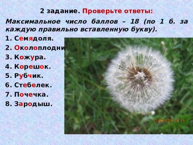 2 задание. Проверьте ответы: Максимальное число баллов – 18 (по 1 б. за каждую правильно вставленную букву). 1. С е м я доля. 2. О к о л о плодник. 3. К о ж у ра. 4. К о р е ш о к. 5. Р у б ч ик. 6. Ст е б е лек. 7. П о ч е чка. 8. З а р о дыш.  