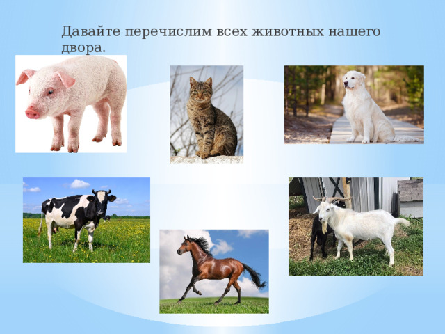 Давайте перечислим всех животных нашего двора. 