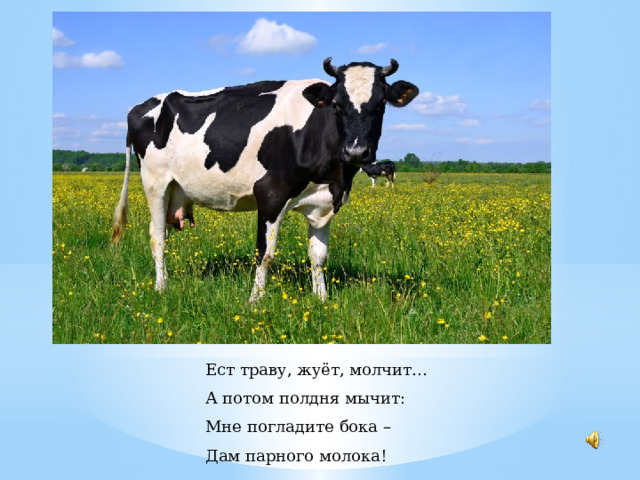 Ест траву, жуёт, молчит…  А потом полдня мычит:  Мне погладите бока –  Дам парного молока! 