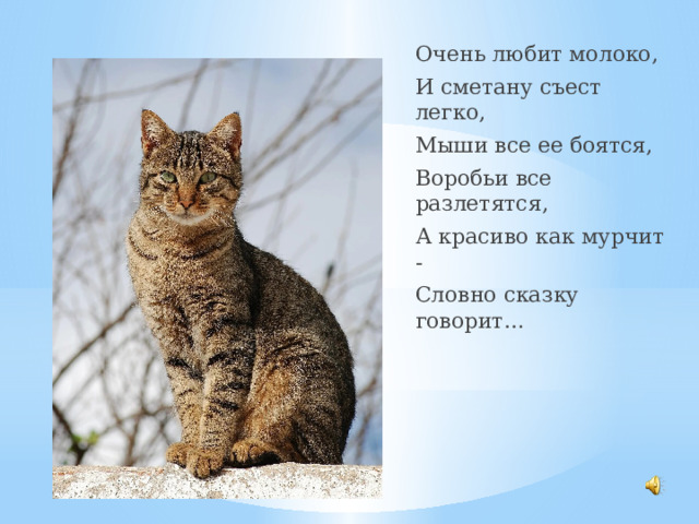 Очень любит молоко, И сметану съест легко, Мыши все ее боятся, Воробьи все разлетятся, А красиво как мурчит - Словно сказку говорит… 