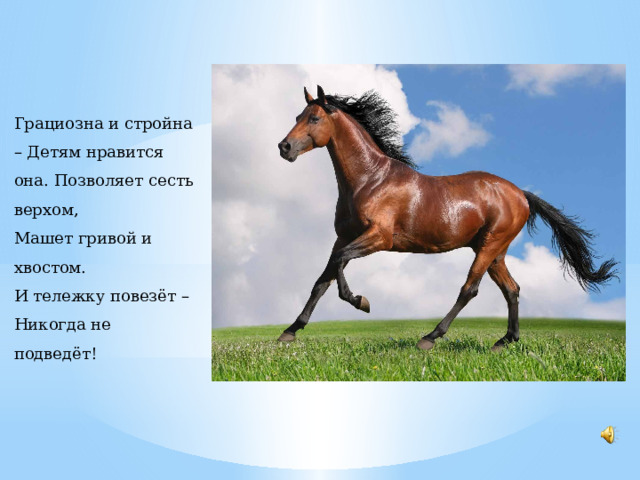Грациозна и стройна – Детям нравится она. Позволяет сесть верхом, Машет гривой и хвостом. И тележку повезёт – Никогда не подведёт! 