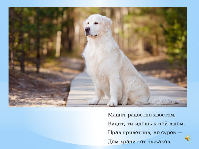 Машет радостно хвостом, Видит, ты идешь к ней в дом. Нрав приветлив, но суров — Дом хранит от чужаков. 