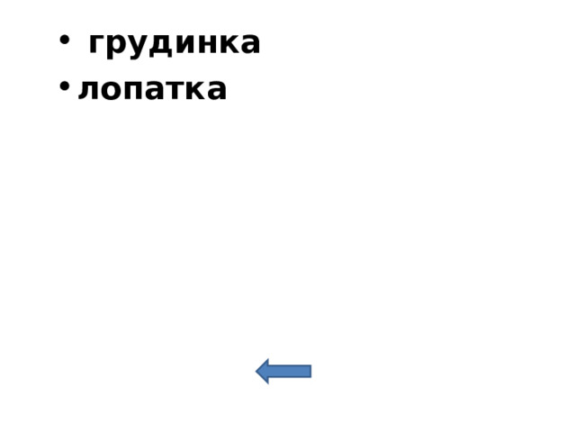  грудинка лопатка 