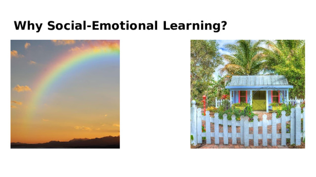 Why  Social- Emotional  Learning? 