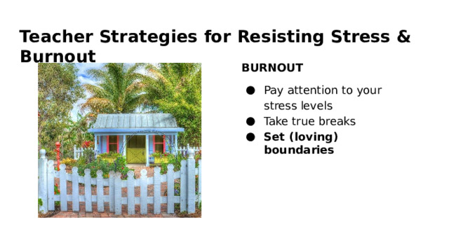 Teacher  Strategies  for  Resisting  Stress  &  Burnout BURNOUT Pay  attention  to  your  stress levels Take  true  breaks Set  (loving)  boundaries 