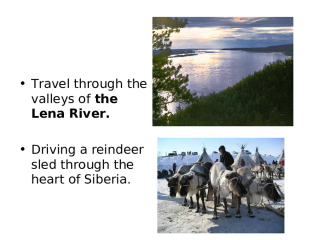 Travel through the valleys of the Lena River.  Driving a reindeer sled through the heart of Siberia. 