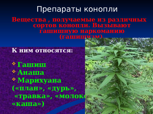 Препараты конопли  Вещества , получаемые из различных сортов конопли. Вызывают гашишную наркоманию (гашишизм).  К ним относятся:  Гашиш Анаша Марихуана («план», «дурь»,  «травка», «молоко», «каша»)  