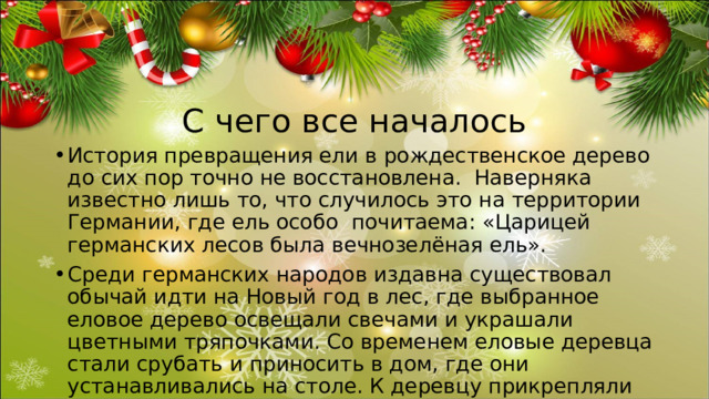 С чего все началось История превращения ели в рождественское дерево до сих пор точно не восстановлена. Наверняка известно лишь то, что случилось это на территории Германии, где ель особо почитаема: «Царицей германских лесов была вечнозелёная ель». Среди германских народов издавна существовал обычай идти на Новый год в лес, где выбранное еловое дерево освещали свечами и украшали цветными тряпочками. Со временем еловые деревца стали срубать и приносить в дом, где они устанавливались на столе. К деревцу прикрепляли зажжённые свечки, на него вешали яблоки и сахарные изделия. 