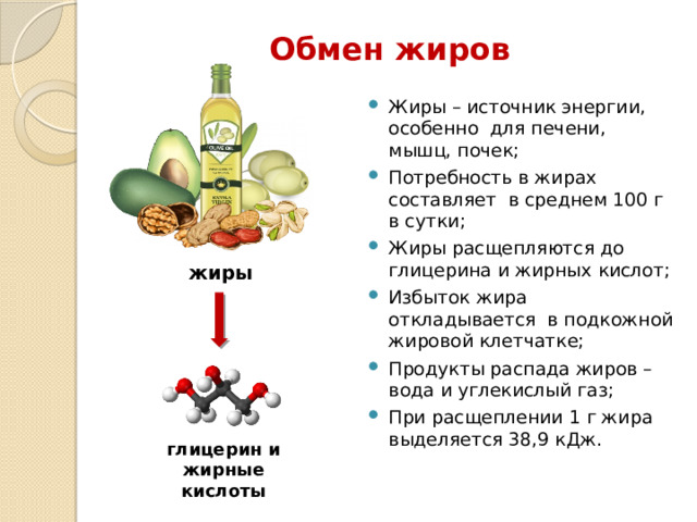 Обмен жиров Жиры – источник энергии, особенно для печени, мышц, почек; Потребность в жирах составляет в среднем 100 г в сутки; Жиры расщепляются до глицерина и жирных кислот; Избыток жира откладывается в подкожной жировой клетчатке; Продукты распада жиров – вода и углекислый газ; При расщеплении 1 г жира выделяется 38,9 кДж. жиры глицерин и жирные кислоты 