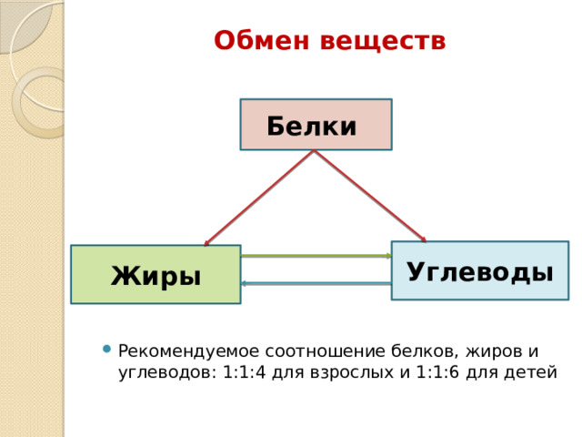 Обмен веществ Белки Углеводы Жиры Рекомендуемое соотношение белков, жиров и углеводов: 1:1:4 для взрослых и 1:1:6 для детей 