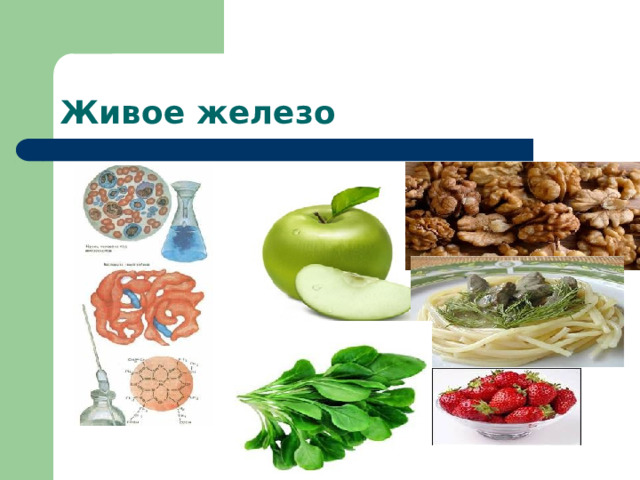 Живое железо 