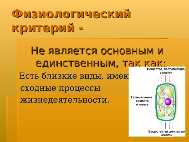 Физиологический критерий - Не является основным и единственным, так как: Есть близкие виды, имеющие  сходные процессы  жизнедеятельности. 