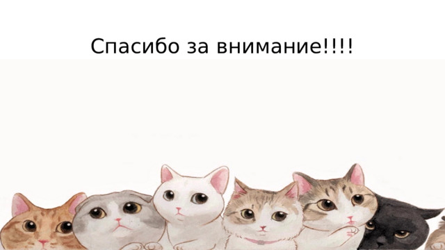 Спасибо за внимание!!!! 