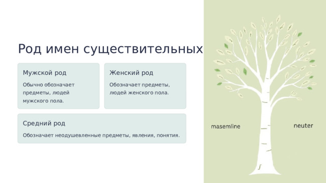  Род имен существительных Мужской род Женский род Обычно обозначает предметы, людей мужского пола. Обозначает предметы, людей женского пола. Средний род Обозначает неодушевленные предметы, явления, понятия. 