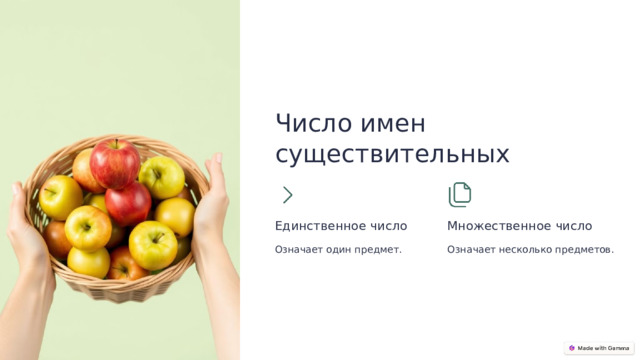  Число имен существительных Единственное число Множественное число Означает один предмет. Означает несколько предметов. 