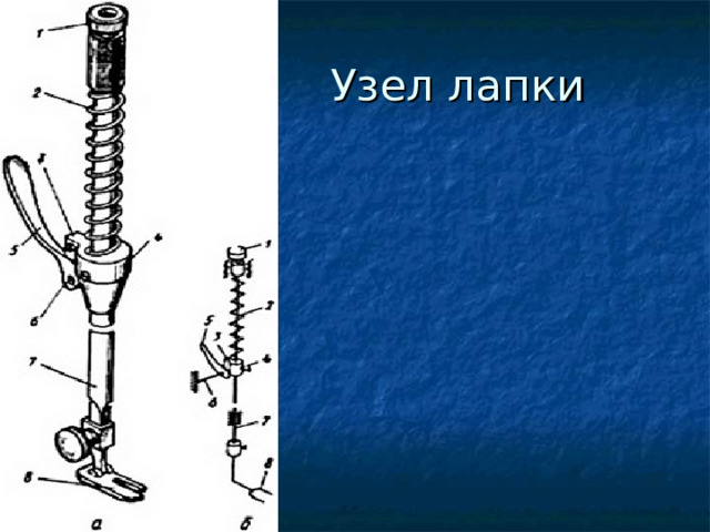 Узел лапки 