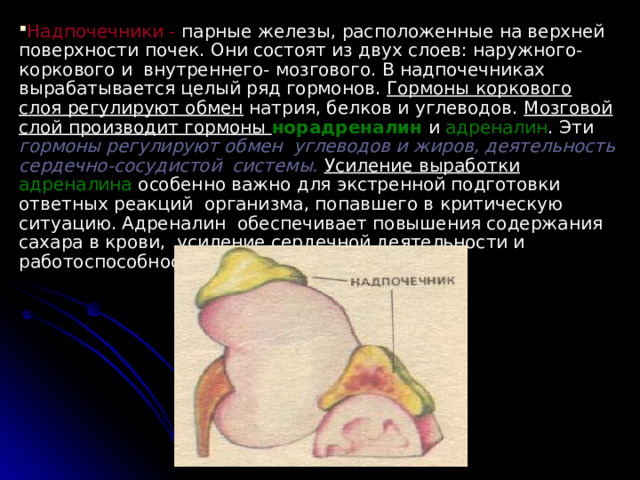 Железа Гормон Поджелудочная железа Инсулин Глюкагон Действие Понижает уровень глюкозы в крови, превращая его в гликоген Повышает уровень глюкозы в крови 