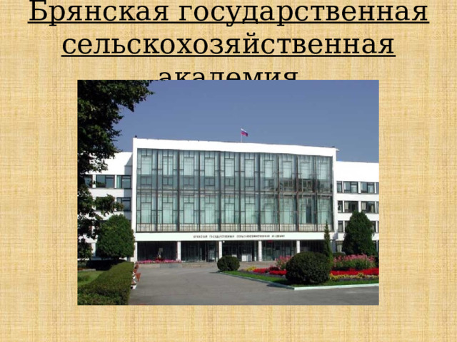    Брянская государственная сельскохозяйственная академия   