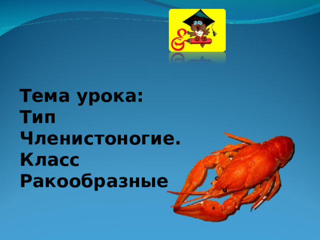 Тема урока: Тип Членистоногие. Класс Ракообразные 