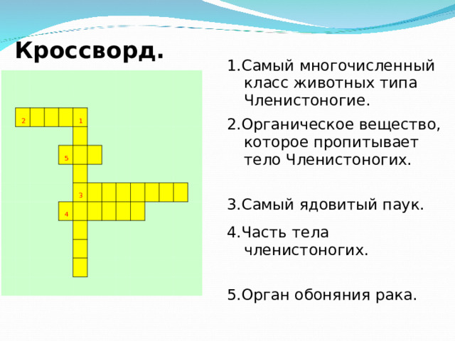 Кроссворд. 1.Самый многочисленный класс животных типа Членистоногие. 2.Органическое вещество, которое пропитывает тело Членистоногих. 3.Самый ядовитый паук. 4.Часть тела членистоногих. 5.Орган обоняния рака.             2                                               1             5                                                           4       3                                                                                                                                                                                                 