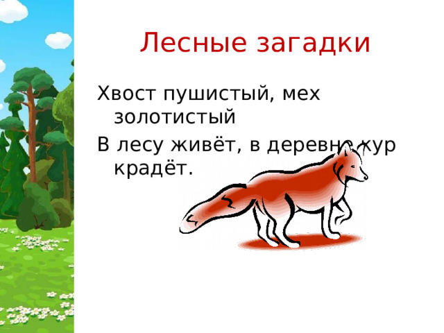 Лесные загадки Хвост пушистый, мех золотистый В лесу живёт, в деревне кур крадёт. 