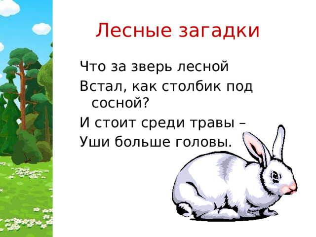 Лесные загадки Что за зверь лесной Встал, как столбик под сосной? И стоит среди травы – Уши больше головы. 