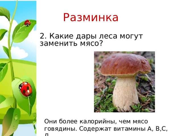 Разминка 2. Какие дары леса могут заменить мясо? Они более калорийны, чем мясо говядины. Содержат витамины А, В,С, Д. 