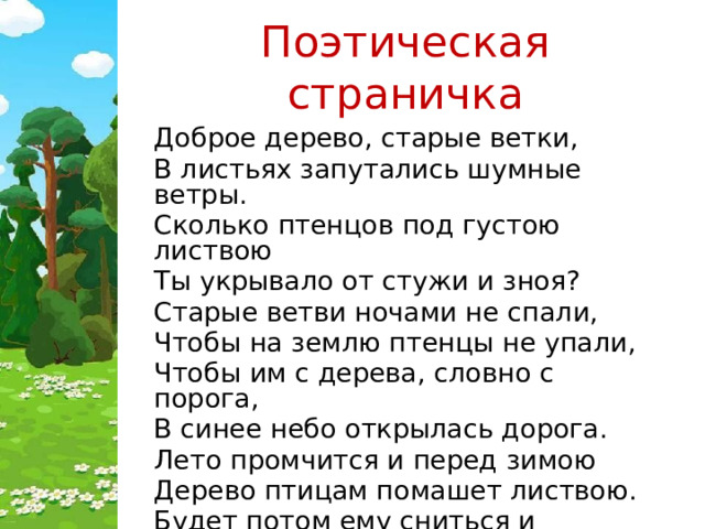 Поэтическая страничка Доброе дерево, старые ветки, В листьях запутались шумные ветры. Сколько птенцов под густою листвою Ты укрывало от стужи и зноя? Старые ветви ночами не спали, Чтобы на землю птенцы не упали, Чтобы им с дерева, словно с порога, В синее небо открылась дорога. Лето промчится и перед зимою Дерево птицам помашет листвою. Будет потом ему сниться и сниться, Как по весне возвращаются птицы. 