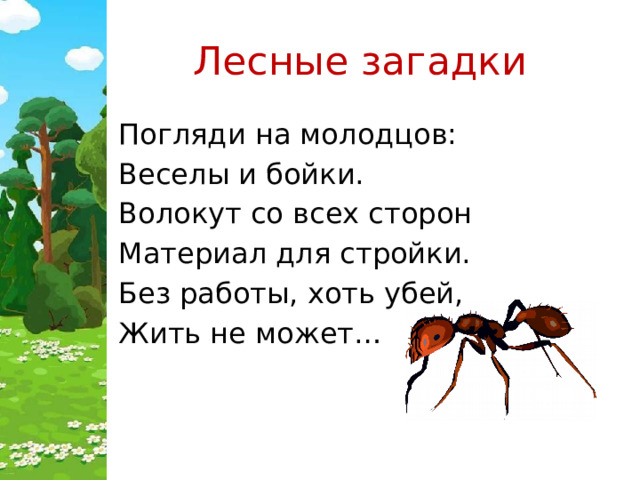 Лесные загадки Погляди на молодцов: Веселы и бойки. Волокут со всех сторон Материал для стройки. Без работы, хоть убей, Жить не может… 