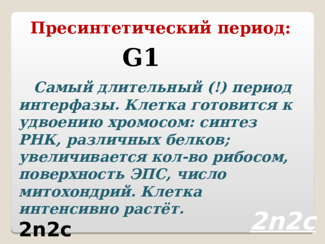 Пресинтетический период: G1  Самый длительный (!) период интерфазы. Клетка готовится к удвоению хромосом: синтез РНК, различных белков; увеличивается кол-во рибосом, поверхность ЭПС, число митохондрий. Клетка интенсивно растёт. 2n2c 2n2c 