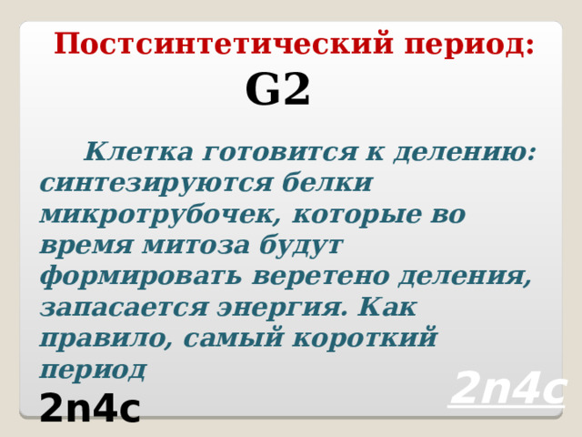 Постсинтетический период: G2  Клетка готовится к делению: синтезируются белки микротрубочек, которые во время митоза будут формировать веретено деления, запасается энергия. Как правило, самый короткий период 2n4c 2n4c  